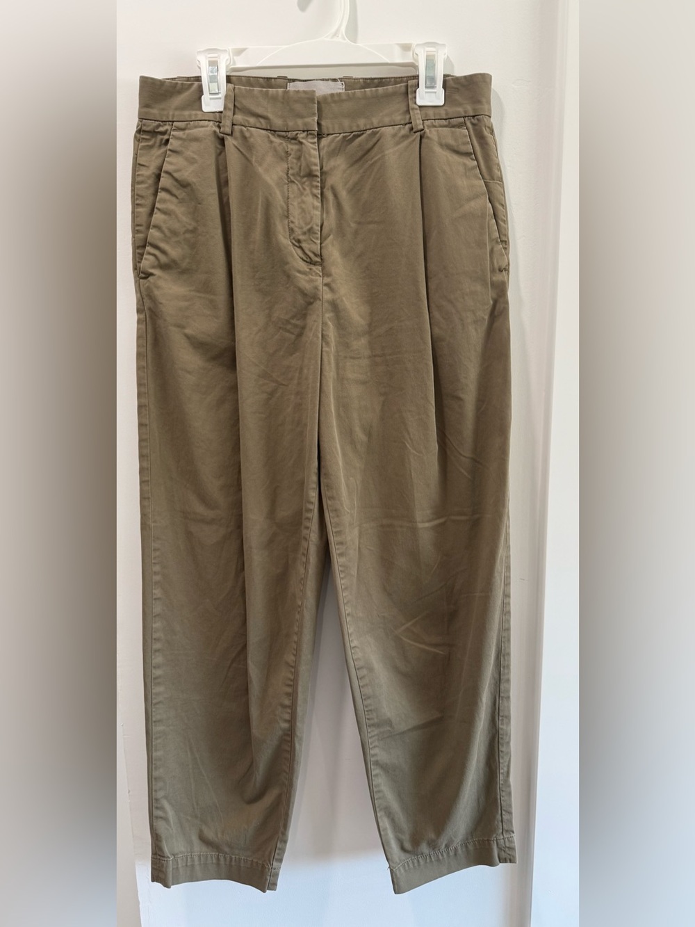 Everlane Pleated Trousers
